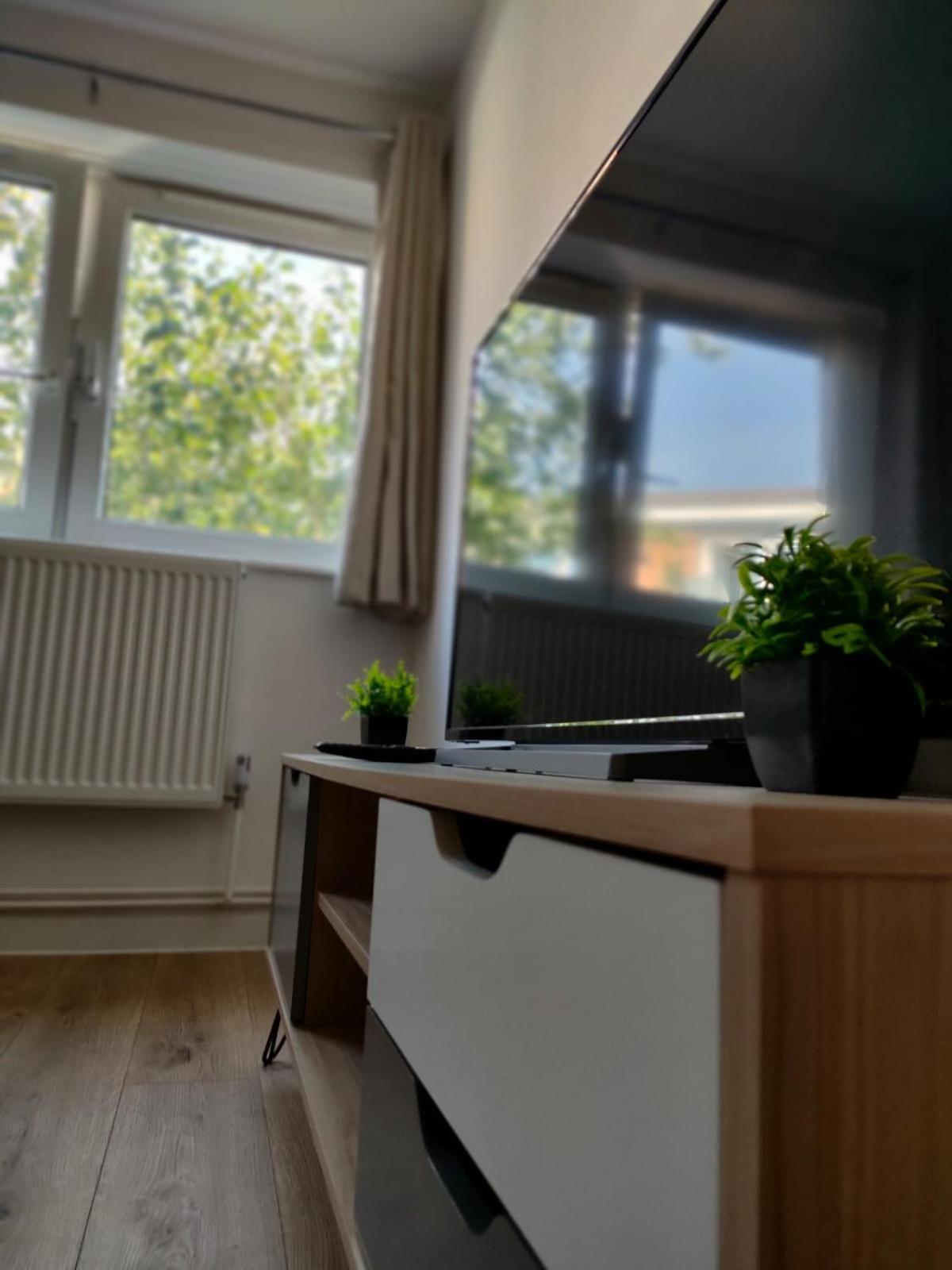 "Central&Convenient" Apartment Near Big Ben- Tower Bridge London Kültér fotó